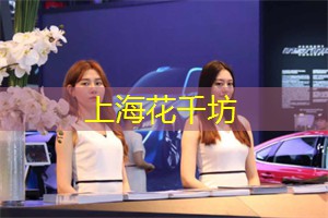 崇明岛是上海的最大岛屿