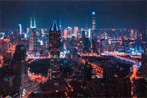 上海后花园：亲近自然的最佳去处，体验城市与森林的对话